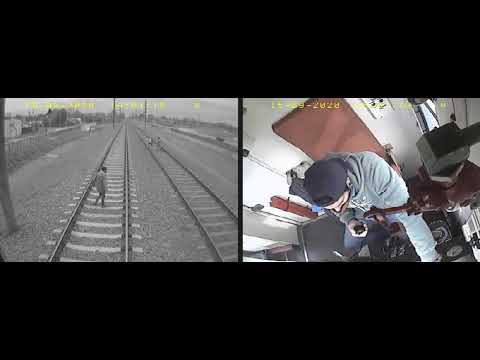 Conductor de la línea Roca evita una tragedia en las vías