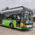 linea 50 nudo