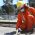 obras newbery